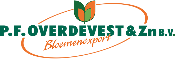 logo6